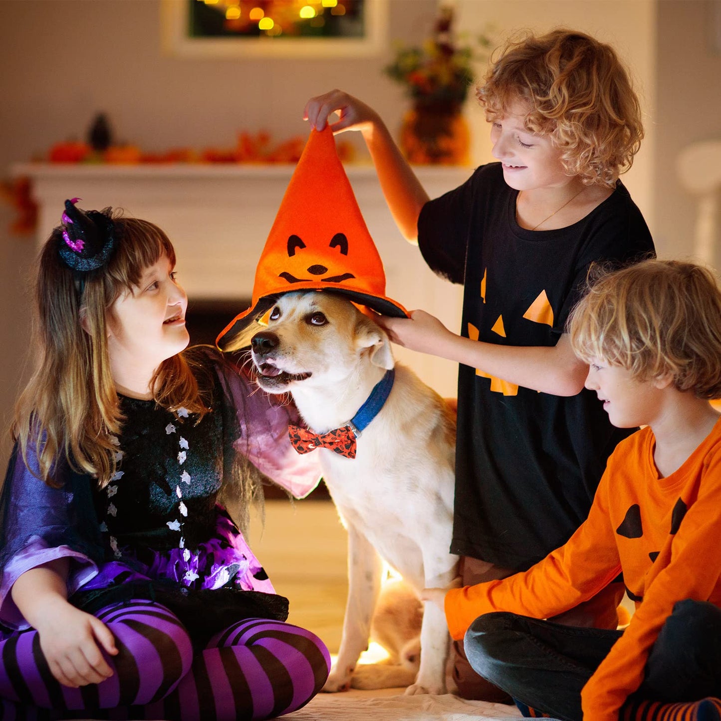 30 Pieces Halloween Fall Dog Bow Ties Slide Dog Collar Bow Ties Dog Collar Attachment with Elastic Bands Halloween Pet Bow Ties Dog Collar Grooming Accessories Holiday Costume Cosplay Pumpkin Ghost
