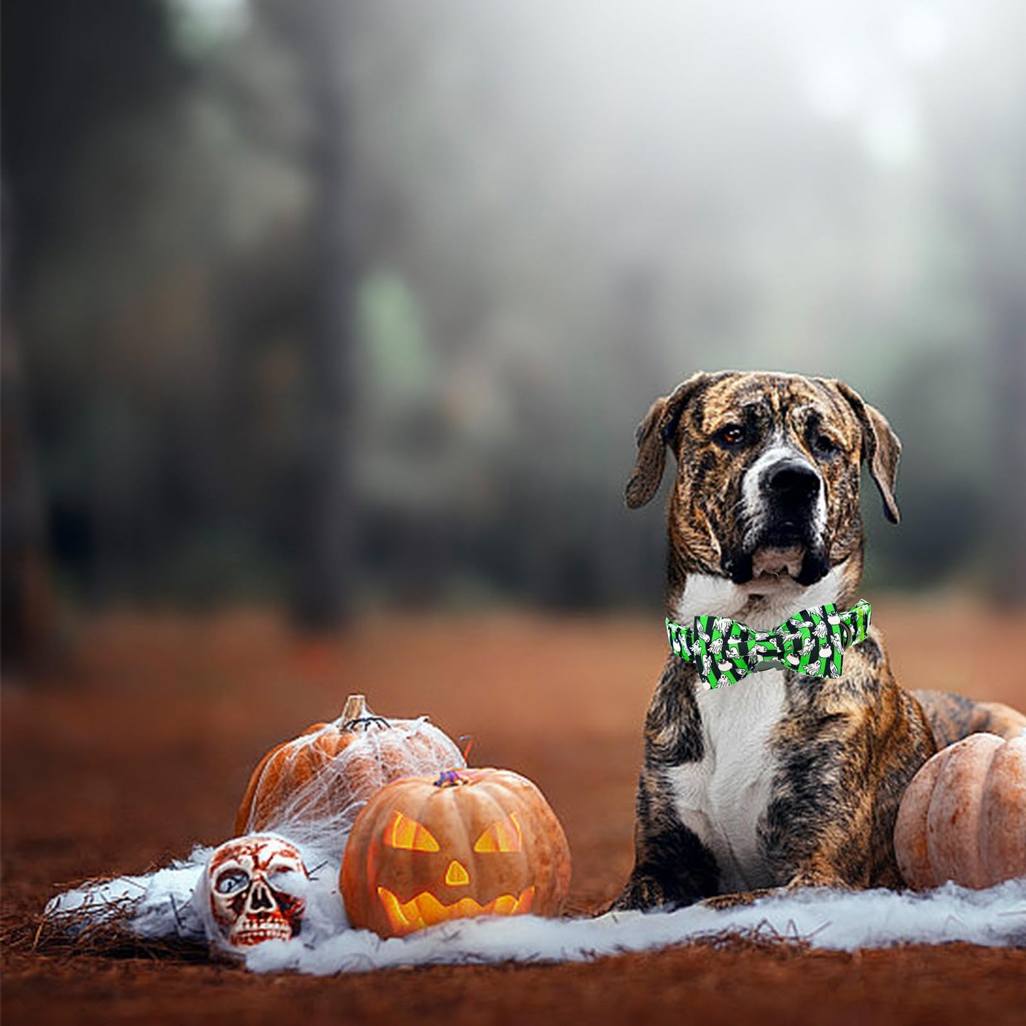 Elegant little tail Fall Dog Collar, Halloween Dog Collar Ghosts Pet Collars with Bowtie Metal Buckle Cotton Puppy Girls Boys Adjustable Pet Collars for Medium Dogs
