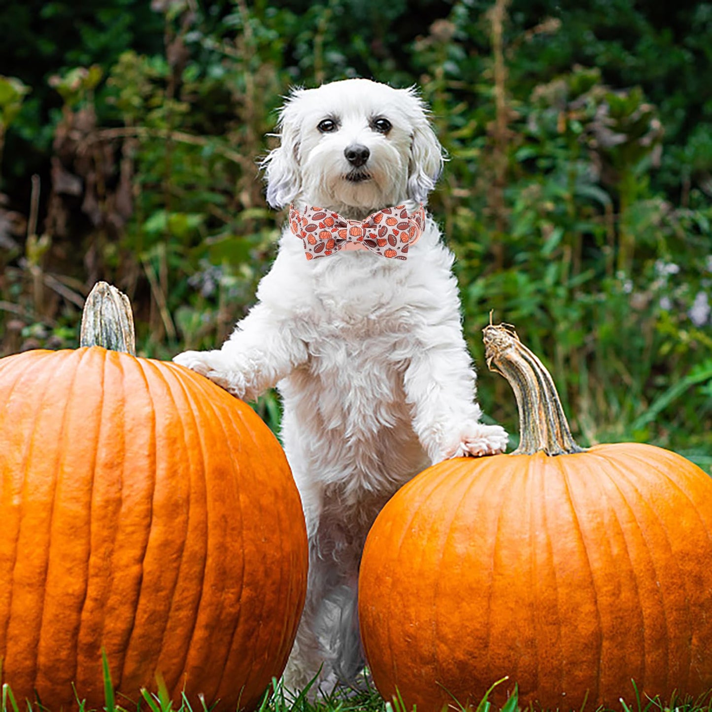MR.CHUBBYFACE Halloween Dog Collar, Cute Halloween Pumpkin Football Fall Puppy Collar with Bowtie, Adjustable Cotton Pet Collar with Metal Buckle for Small Medium Large Dog