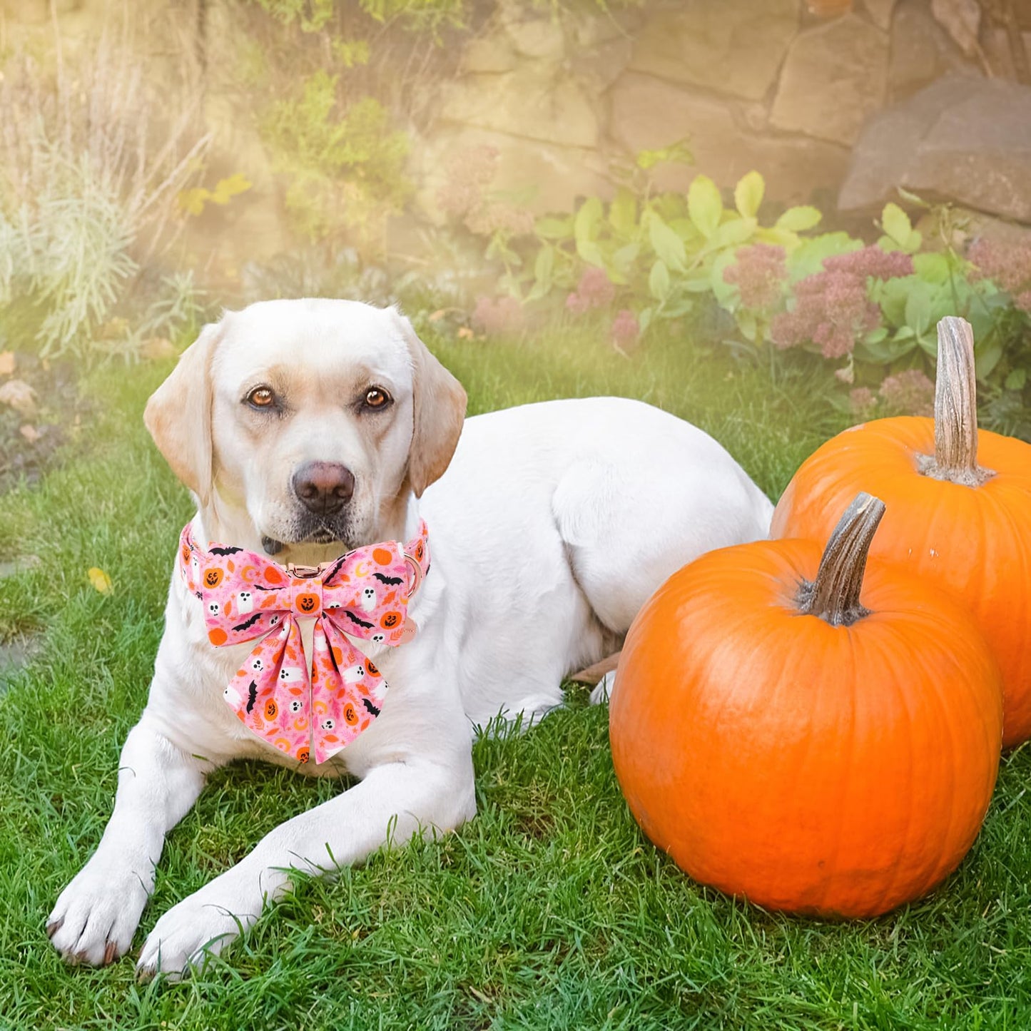 DOGWONG Halloween Dog Collar - Pink Fall Bowtie, Ghost Design, Comfortable & Adjustable for Medium & Large Dogs