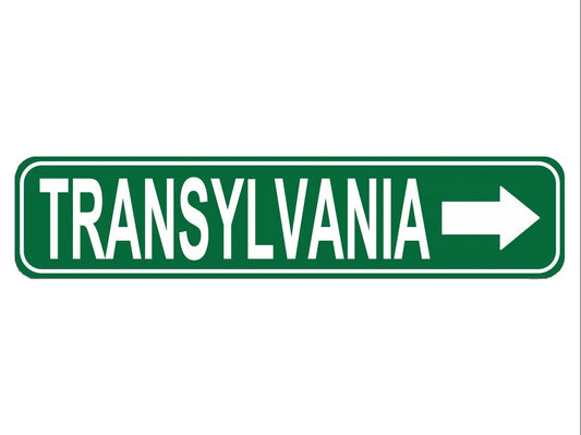 Cohuodec Transylvania Street Sign with Arrow - Vintage Metal Tin Sign for Halloween, Horror Decor, Haunted House, Vampire Theme - 16x4 Inch Green Retro Wall Decor Plaque for Bar, Man Cave, Garage