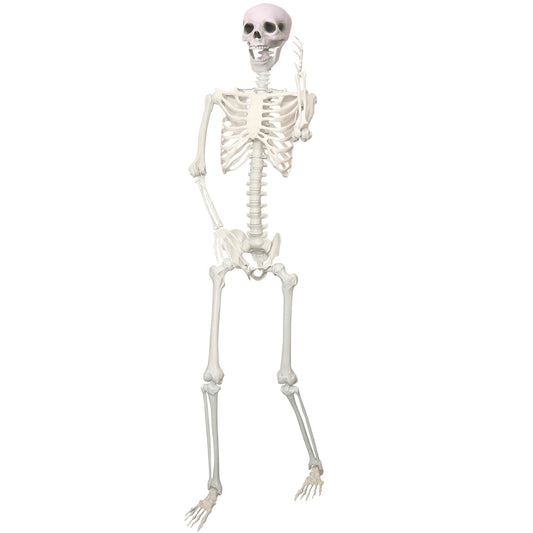 LOSFOTBO 5.9Ft/180cm Giant Skeleton Poseable Skeleton Realistic Full Body Bones for Halloween Decorations