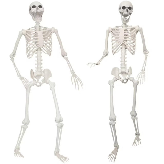 Lodou 2 Pack 5.4ft/165cm Life Size Skeleton Halloween Skeletons,Full Body Human Bones with Movable Joints for Indoor Outdoor Halloween Decor