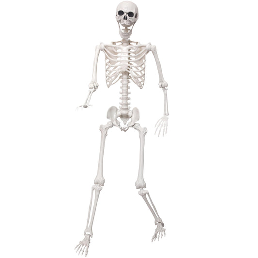 SHOCOSTO 5.4Ft Giant Skeleton Life Size Human Bones with Movable Joints for Halloween Props Decorations