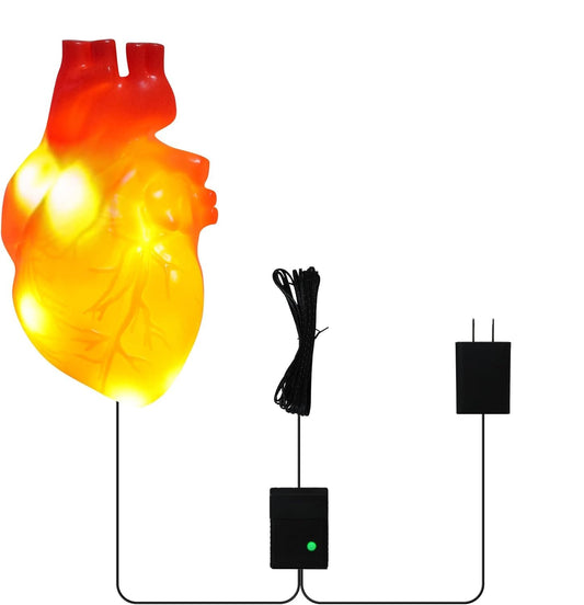 Light Up Valentines Skeleton Heart Decorations, Realistic Beating Heart Lighs, Glow in The Dark Skeleton Lights Plug in with 16.4FT Power Cord for Home Party Decor