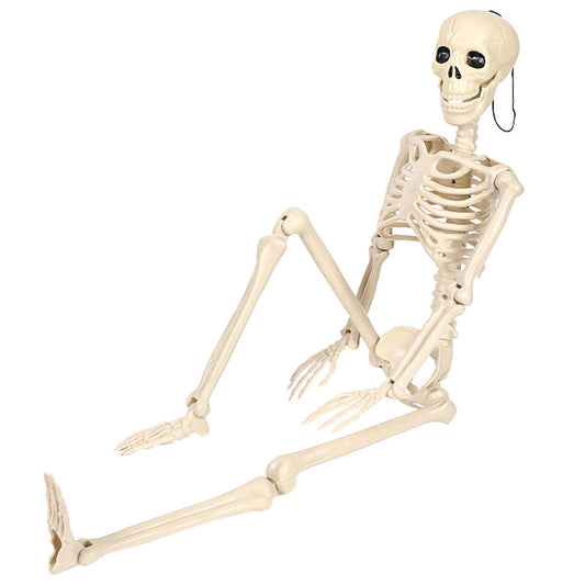 36.6 Inches Poseable Full Body Hanging Skeleton Decoration, Life-Size Halloween Skeleton Prop with Movable Joints, Indoor Outdoor Halloween Decorations for Parties, Haunted House, and Yard Décor