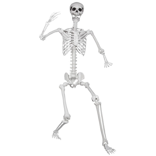 LaLamona 5.9ft/180cm Posable Halloween Skeleton, Life Size Skeleton Bones with Movable Joints for Halloween Graveyard Haunted House Spooky Scene Decor, 1pc