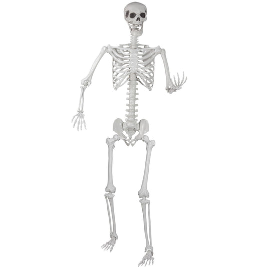 Halloween Skeleton, Realistic Life Size Skeleton with Movable Joints for Halloween Party Haunted House Indoor Outdoor Decoration (5.9ft-1P)