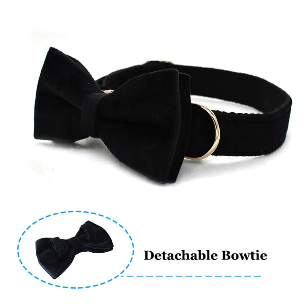 TANXIC Velvet Dog Collar with Bow Tie Bowtie Dog Collar with Metal Buckle