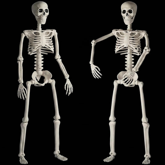HBSTK 2 Pack 36" Halloween Skeleton, Full Body Life Size Posable Skeletons with Movable Joints, Realistic Plastic Human Bones Anatomy Model for Halloween Decorations Outdoor Yard Décor