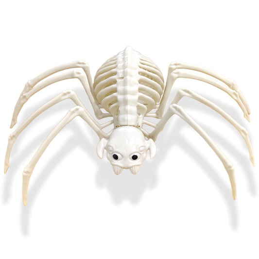 mogenda Large Realistic Spider Skeleton,Horrible Spider Bone,Vivid Spider Skeleton Model Halloween Decorations for Yard Garden Lawn,Haunted House Props(Spider-1p)