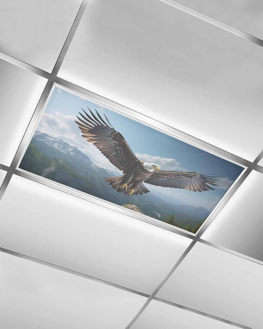 Eagle Magnetic Fluorescent Light Covers for Ceiling Lights 2 x 4 Feet,Forest Mountains Range Sky Animal Natural Landscape Office Classroom Kitchen Drop Ceiling Light Covers Filters Shade Panel 1 Pack