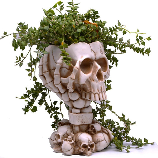 Skull Planter, Goth Flower Pot, Gothic Plant Pots, Succulent Pots with Drainage, Halloween Plant Pot, Tall White Skulls Statue, Funny Desk Home Decor, Cool Figurines Flower Pots Gift for Mother Father