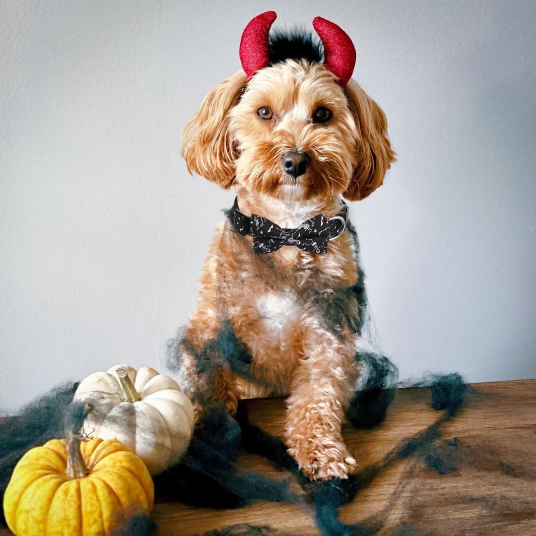 Halloween Dog Bow Tie Collar 2 Pack, Quick Release Spooky Collar for Large Size Dogs
