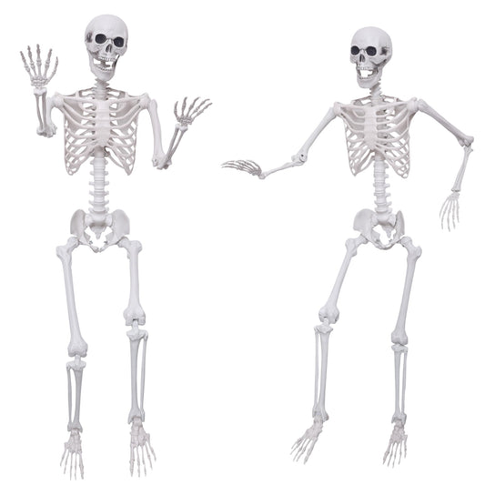 Hibsotco 2Pack 5.4Ft Life Size Skeletons Posable Skeletons Full Size Plastic Human Skeleton with Movable Joint for Halloween Outdoor Indoor Decorations
