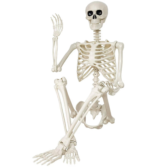 GCNBCNB Halloween Skeleton Decorations,35" Posable Human Skeleton Decorations for Halloween Party Decor, Haunted House Props Indoor Outdoor Decoration