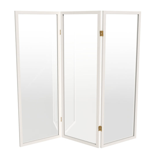 4 ft. Short Clear Plastic Partition White 3 Panel