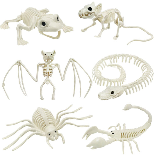 CAMIRUS 6Pack Animal Halloween Skeletons, Plastic Animal Skeleton with Bendable Tails and Movable Jaws for Halloween Party Haunted House Indoor Outdoor Decorations