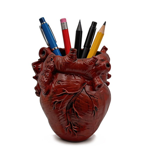 MealFlow Pro Anatomical Heart Pencil Holder, Resin Organ-Shaped Pen Cup Desk Organizer Decor, Makeup Brush Holder, Compact Desk Accessories Gift, Pen Holder for School, Office(RED)