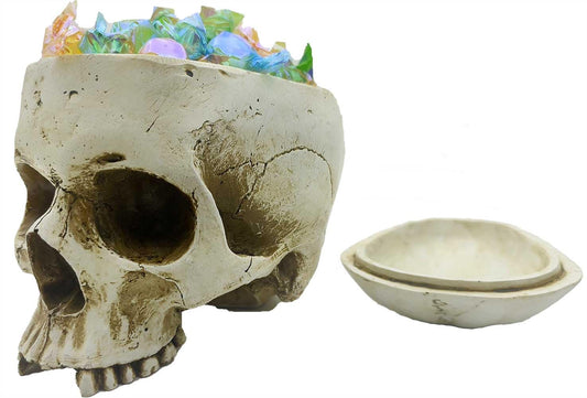 CUZOKOLA Larger 6.9" Human Skull Candy Dish with Lid,Big Skull Candy Jar,Skull Head Decor Statue Resin Mold for Halloween Skull Candy Bowl,Skull Home Decoration,White Skull Skeleton Bowl Sculpture