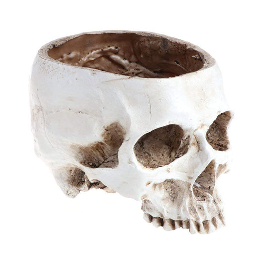 Skull planter , Resin Skull Head Flower Succulent Cactus Planter Pots , Small Object Containers Keys Sugar Candy Bowl, for Home Office Desk Decorations,Halloween Scene Statue Sculpture (White)