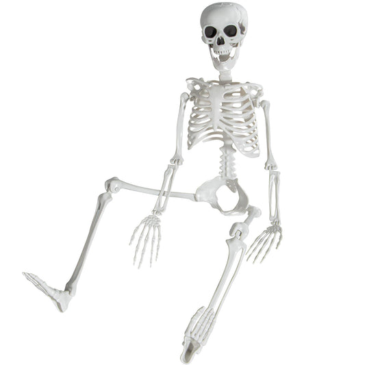 SUNREEK 3 ft Skeletons for Halloween, 36 inch Life Size Skeleton with Full Body Posable Joints, Halloween Plastic Skeleton for Outdoor Yard Patio Lawn Garden Haunted House Spooky Scene Decor (1)