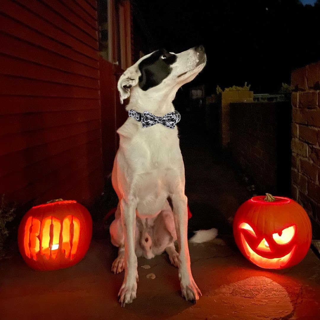 Halloween Dog Bow Tie Collar 2 Pack, Quick Release Spooky Collar for Large Size Dogs