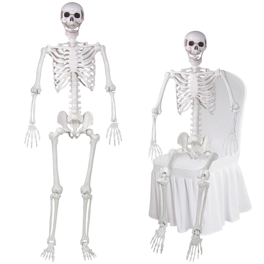 LaLamona 5.4ft Posable Halloween Skeleton, 2Pcs Life Size Skeleton Bones with Movable Joints for Halloween Graveyard Haunted House Spooky Scene Decor