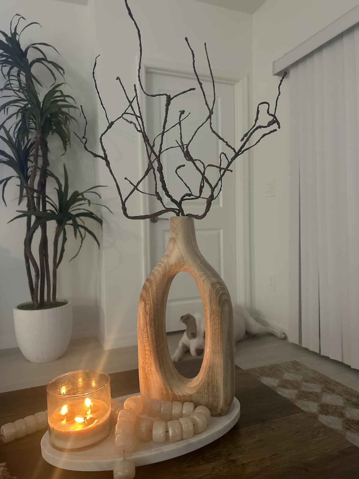 Bakoukiter 5PCS Artificial Lifelike Curly Willow Branches Decorative Dried Birch Twigs 25.9 Inch Fake Bendable Sticks Stems for Craft Vases Home Wedding Decor