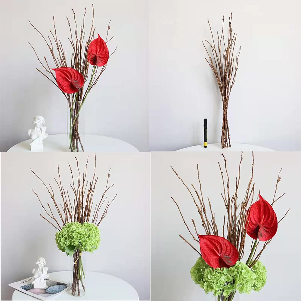 Bakoukiter 5PCS Artificial Lifelike Curly Willow Branches Decorative Dried Birch Twigs 25.9 Inch Fake Bendable Sticks Stems for Craft Vases Home Wedding Decor
