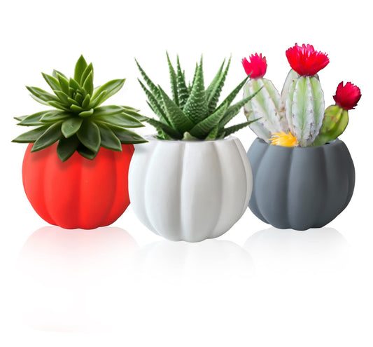 Ceramic Miniature Pumpkin Succulent Pots,Cute Halloween Decorations,Mini Pumpkin decor Planters,Thanksgiving decoration,Set of 3 Indoor/Outdoor Flower Pot,Fall Planter with Drainage Hole 3x4x2.3
