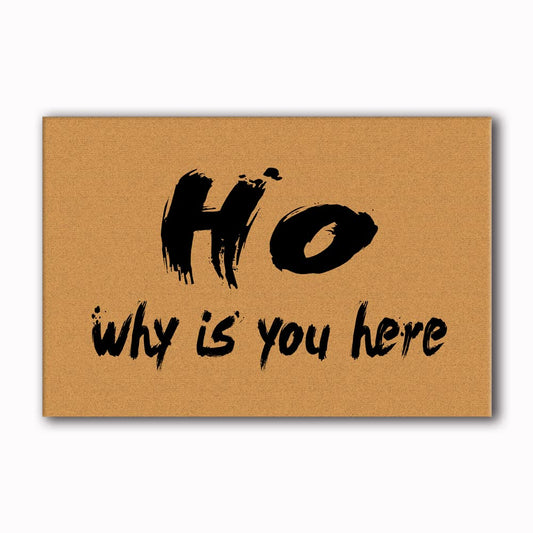 Assaoy Ho Why is You here Outdoor Door Mat,Funny Doormats Entrance Rubber Rugs Indoor Washable Indoor Outdoor Welcome Floor Mat Patio Home Decorative 23.6 X 15.7 in