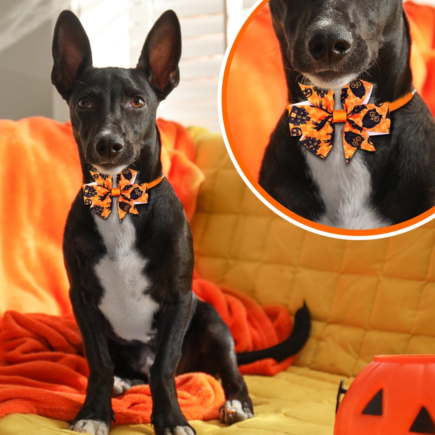 Maitys 40 Pcs Halloween Dog Bows Ties & Basic Collars Bulk - Adjustable Bowties with Plastic Buckle Hair Bow for Dog Cat Pet Holiday Festival Party Grooming Accessories
