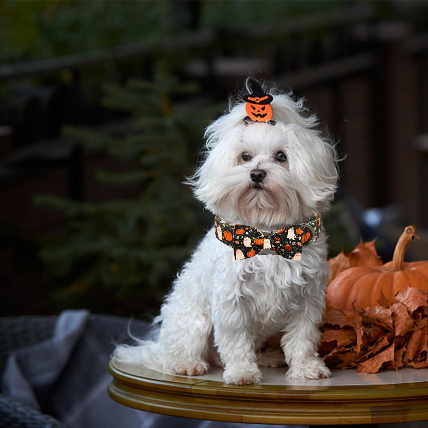 Bobo Rainbow Halloween Dog Collar, Ghost Print Adjustable Pet Collar Fall Pumpkin Cute Cotton Soft Collars with Bow Tie Fall Metal Buckle Holiday Puppy Collars Boy&Girl Gift for X-Small Dogs