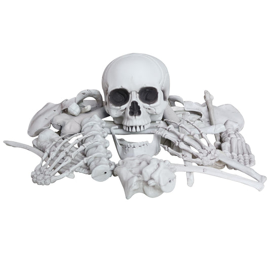 IDMOP 28 Pieces Skeleton Bones with Skull Bag of Plastic Bones Scary Groundbreakers for Halloween Yard Lawn Decoration (Gray)