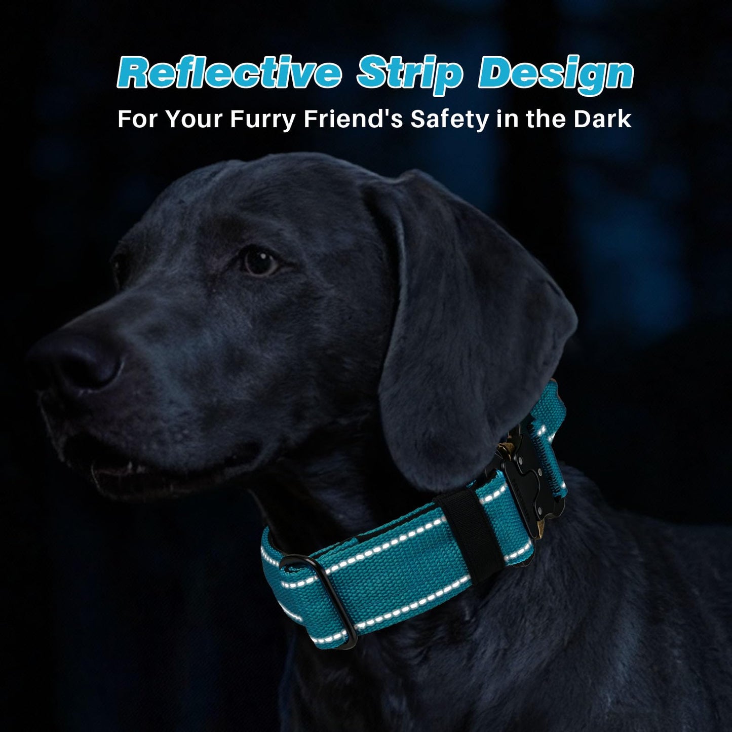 WINGOIN Tactical Dog Collar with AirTag Holder, Heavy Duty Reflective Padded Nylon Collar for Large Dogs, Quick Release Metal Buckle, Dogcollar for Training Walking Hunting, IPX5 Waterproof, Blue,L