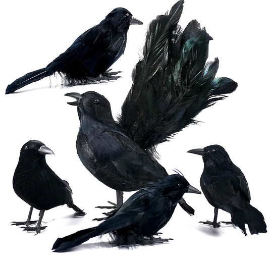 Orgrimmar 5 PCS Black Feather Crows Realistic Handmade Ravens Halloween Party Decor Props for Indoor Outdoor Decorations Birds (Black, 5 Packs)