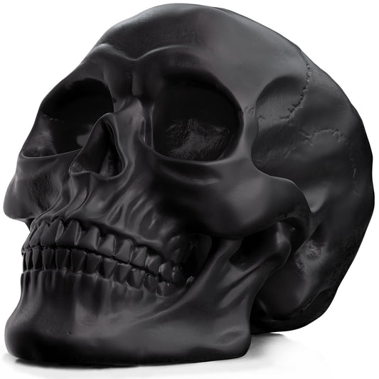 READAEER Resin Skull, Human Head Model for Home Decoration, Halloween Statue, Skull Model for Bookshelf and Desktop (Black)