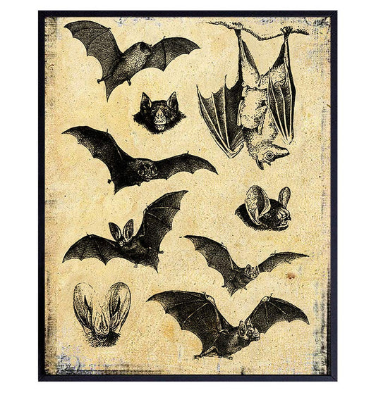 Bats Wall Decor Picture - Gothic Medieval Antique Hipster Style Art Decoration for Home, Apartment, Office, Living Room, Bedroom - Vintage Rustic Creepy Gift for Steampunk, Goth Fans - Haeckel Print