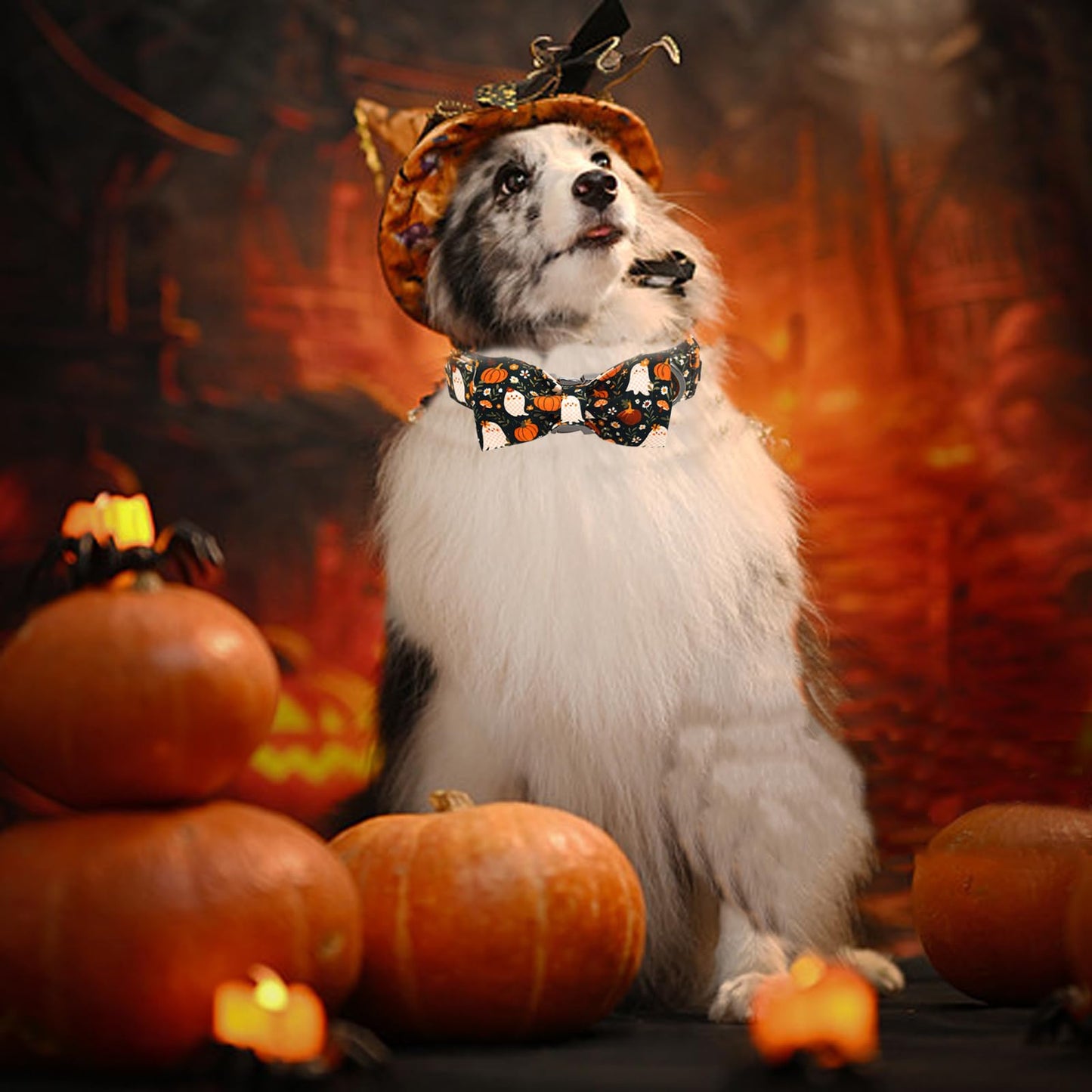 Bobo Rainbow Halloween Dog Collar, Ghost Print Adjustable Pet Collar Fall Pumpkin Cute Cotton Soft Collars with Bow Tie Fall Metal Buckle Holiday Puppy Collars Boy&Girl Gift for X-Small Dogs