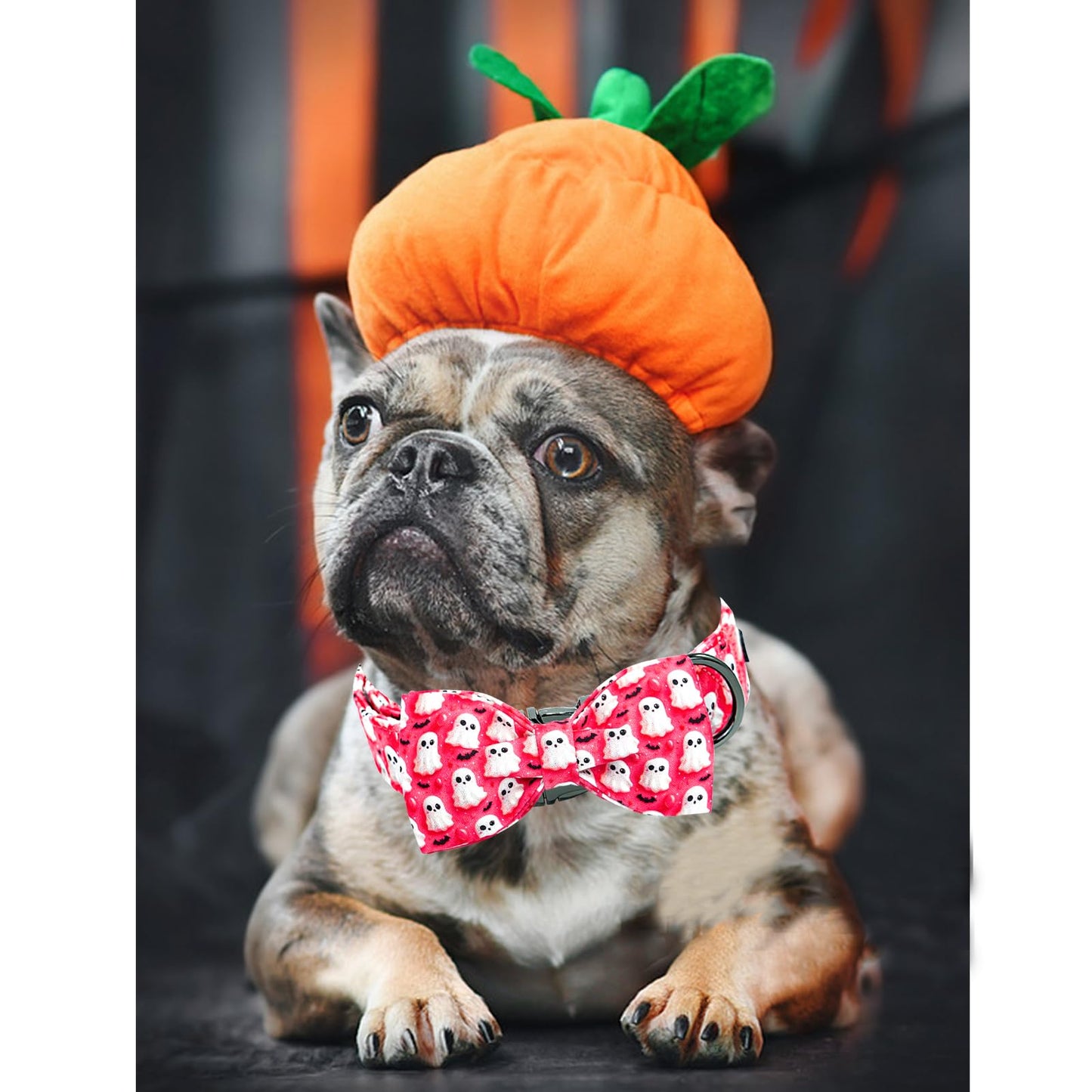 Lionheart glory Halloween Dog Collar with Bow Ghosts Fall Cute Dog Bow Collars Sturdy Soft Adjustable Collar for Small Dogs Girl or Boy Pet Bowtie Collars Party