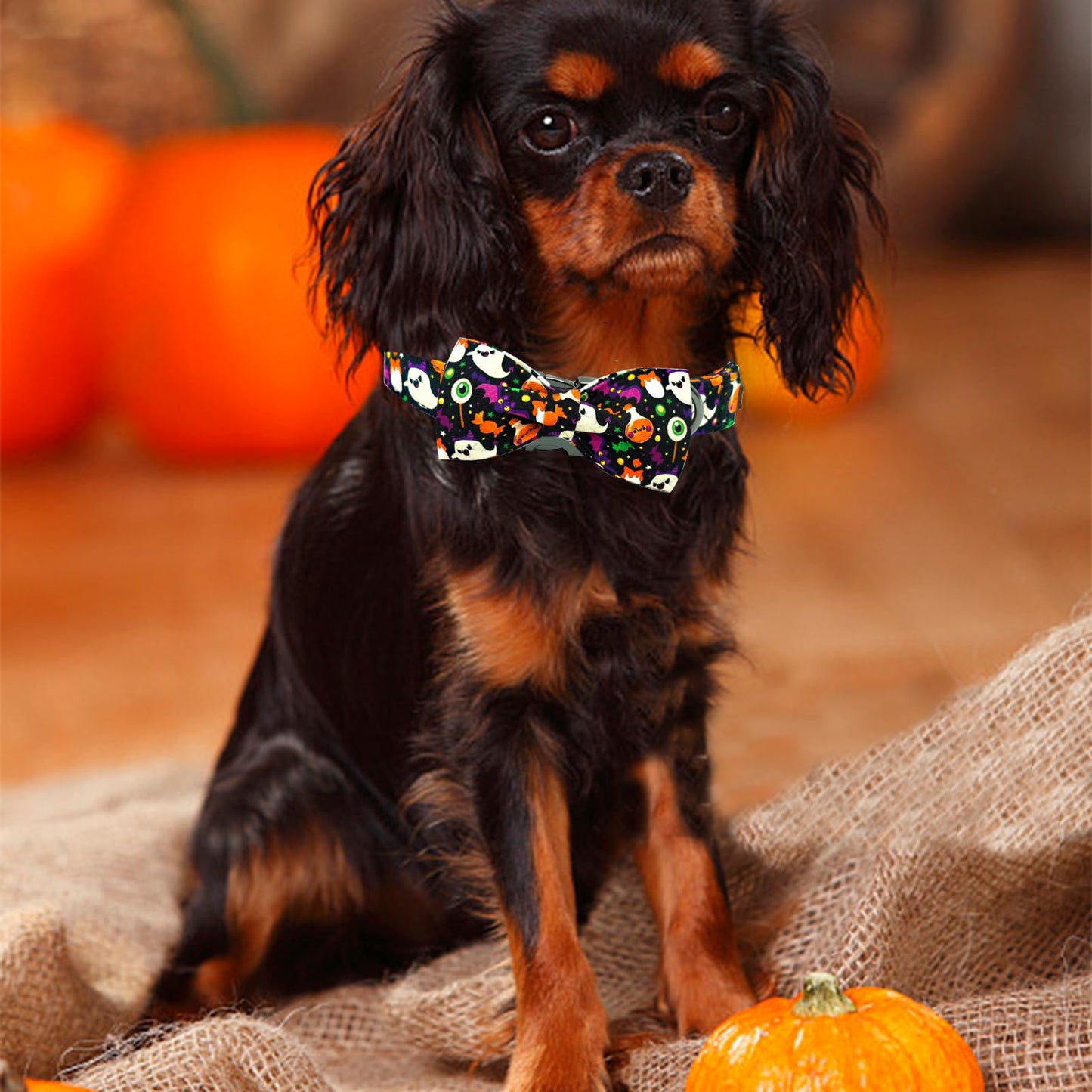 Elegant little tail Fall Dog Collar, Halloween Dog Collar Ghosts Pet Collars with Bowtie Metal Buckle Cotton Puppy Girls Boys Adjustable Pet Collars for Large Dogs