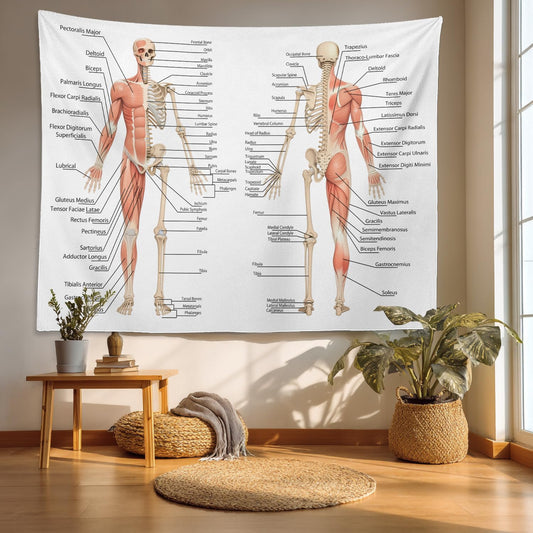 Batmerry Skeleton Tapestry, Body Human Skeleton Anatomy Backbone Biology Board Bone Picnic Mat Hippie Trippy Tapestry Wall Art Decor for Bedroom Living Room, 51.2 x 59.1 Inches, Human Anatomy