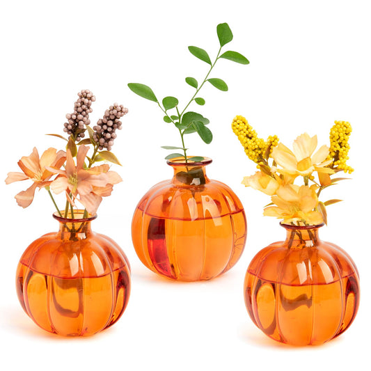 XXXFLOWER Plant Terrarium Propagation Stations Unique Gifts for Women Plant Lovers 3Pcs Pumpkin-Shaped Glass Vase for Tabletop Home Office Garden Decor (Plants NOT Included)