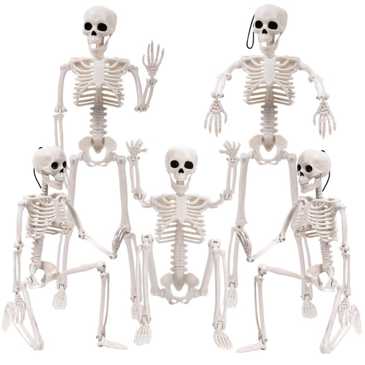 XIMISHOP 5pcs Halloween Skeleton Decoration, 16" Full Body Posable Hanging Skeleton with Movable Joints for Graveyard Haunted House Indoor Outdoor, White