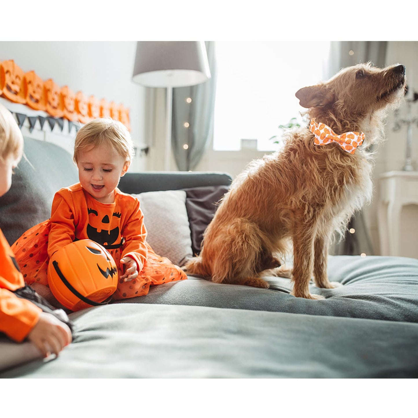 Lionheart Glory Halloween Dog Collars - Adjustable Heavy Duty Bowtie Collar for Large Dogs