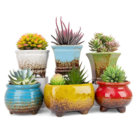 ARTKETTY Succulent Pots - Small Succulent Plant Pot with Drainage Pack of 6, Ceramic Cactus Planter Pots for Indoor Unique Flower Planter Container for Home Office Decor