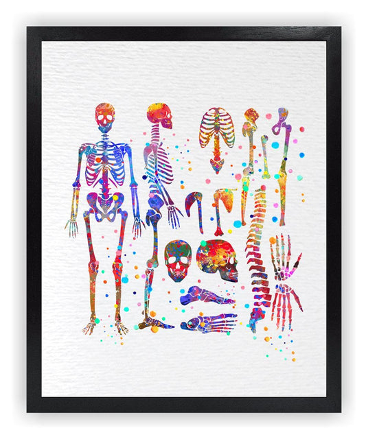 Dignovel Studios 8X10 Unframed Skeletal System Human Skeleton Body Anatomy Medical Medicine Science Watercolor Art Print Poster Wall Nursery Kids Office Home Decor DN574