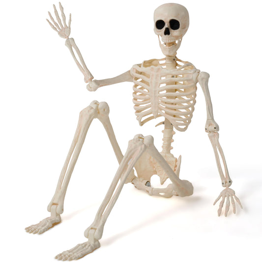 JOYIN 36" Halloween Skeleton Decor, 3FT Full Body Stayable Movable Joints, Posable Hanging Skeletons for Halloween Decoration, Yard, Graveyard, Haunted House Props, Spooky Scene Party Favor