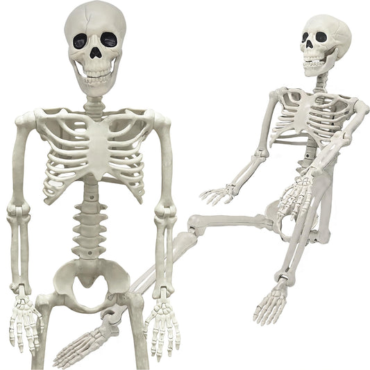 36" Skeleton Halloween Decorations, 3FT Realistic Full Body Movable Posable Joints Skeleton, Creepy Halloween Plastic Skeleton for Graveyard Decorations, Haunted House Props Indoor/Outdoor Decor